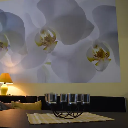 Medical Appartement